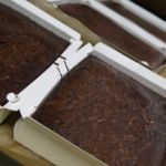 gruppe 1 unten links